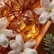 Парфумований міст для тіла Baccar Amberwood Top Beauty, 250 мл 1780858032808 фото 6