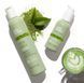 milk_shake Deep Detox Shampoo &mdash; детокс-шампунь для глибокого очищення волосся та шкіри голови MS-DDS-300 фото 5